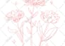 vector tracing and restore image high resolution
