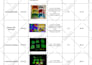 do excel or spreadsheet data entry by doing web research or email finding