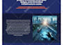 create a responsive and professional wordpress website elementor, oxygen builder