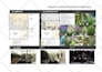 design your 3d 2d yard garden patio