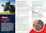 do unique corporate trifold brochure, flyer