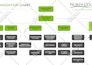 create professional org charts or organizational structure