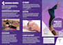 design your magazine layout, brochure, and product catalog