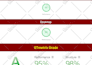 optimize shopify speed for faster store performance