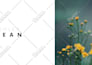 desing a stunning and creative photography portfolio