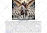 write your album press release