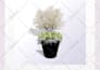 create planting design for single pot or planter