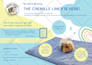 design a professional candle, skincare label, editable canva template