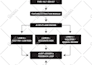 do the professional  company profile, brochure, annual report