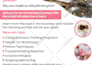create custom bifold, trifold brochures, flyers, and pamphlets in 24 hours