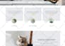 update site revamp or redesign squarespace shopify wix weebly store or website