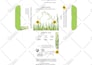 design premium packaging for skincare and wellness brands