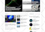 develop google adsense autopilot wordpress website for adsense approval