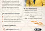 design a dj epk electronic press kit with clickable links an