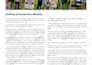 do any adobe indesign project within 24 hours