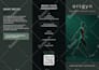 design modern company profile, brochure or product catalog