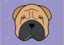 draw cute pet cartoon in  24 hours