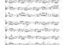 transcribe anything you want