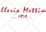 do vector tracing any image, vectorize logo, convert to vector