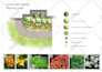 create landscape planting plan