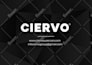 do minimal catalog, brochure, company profile, annual report design