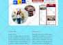 do sendinblue bravo email marketing, automation workflow for wordpress