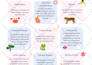 design professional printable planners and journals