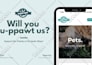 create or edit powerpoint or canva presentation