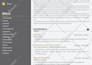 do professional resume writing and CV design services
