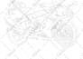 do vector line drawing, outline drawing