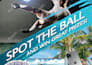 do a professional corporate flyer,  poster or brochure