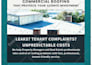 design an amazing brochure for your business