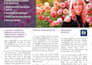 design a single or double sided flyer, brochure