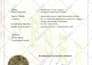 design social media cover and post