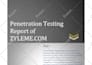 do advanced penetration and vulnerability test your website