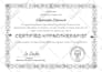 do professional certificate diploma certificate award certificate design