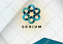 write professional whitepaper for cryptocurrency and blockchain