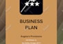 prepare an investor ready business plan