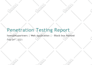 perform web and API penetration testing with  vapt report