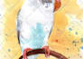 illustrate anything in watercolour sketch