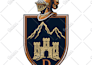 vectorize, fix, edit or redesign your logo or imagen