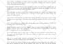 write an incredible personal finance script for your channel