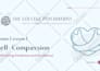 create eye catching powerpoint and canva presentation