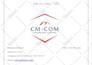 org chart ,process flow , dissertation diagrams, ppt,visio