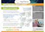 create a corporate, business flyer