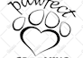 vector tracing, vector logo, vectorize image in 2h