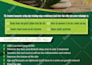 do professional flyer and brochure design with amazing graphics