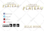 do vector graphic design and logo design