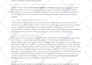 write professional SEO articles and blog posts for you