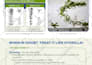convert PDF or PSD HTML5 email template super fast delivery